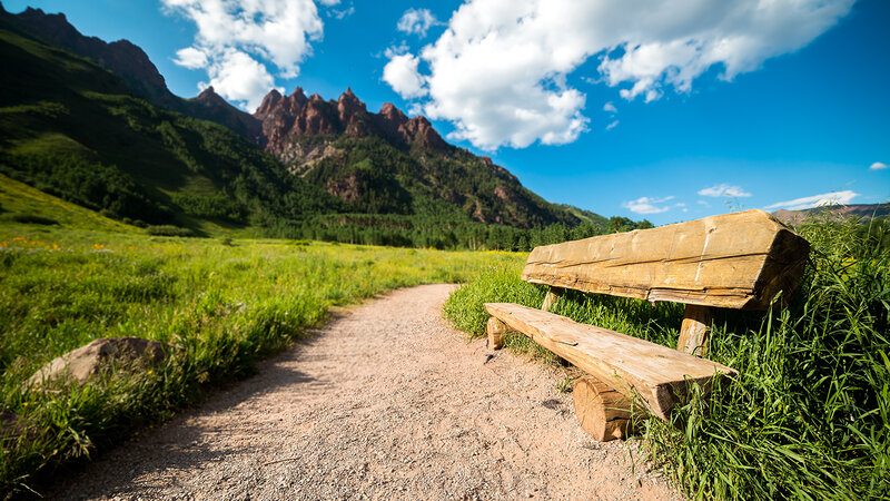 Wooden Bench in Meadow