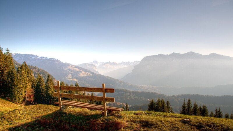 Wooden Bench in Mountains — Green