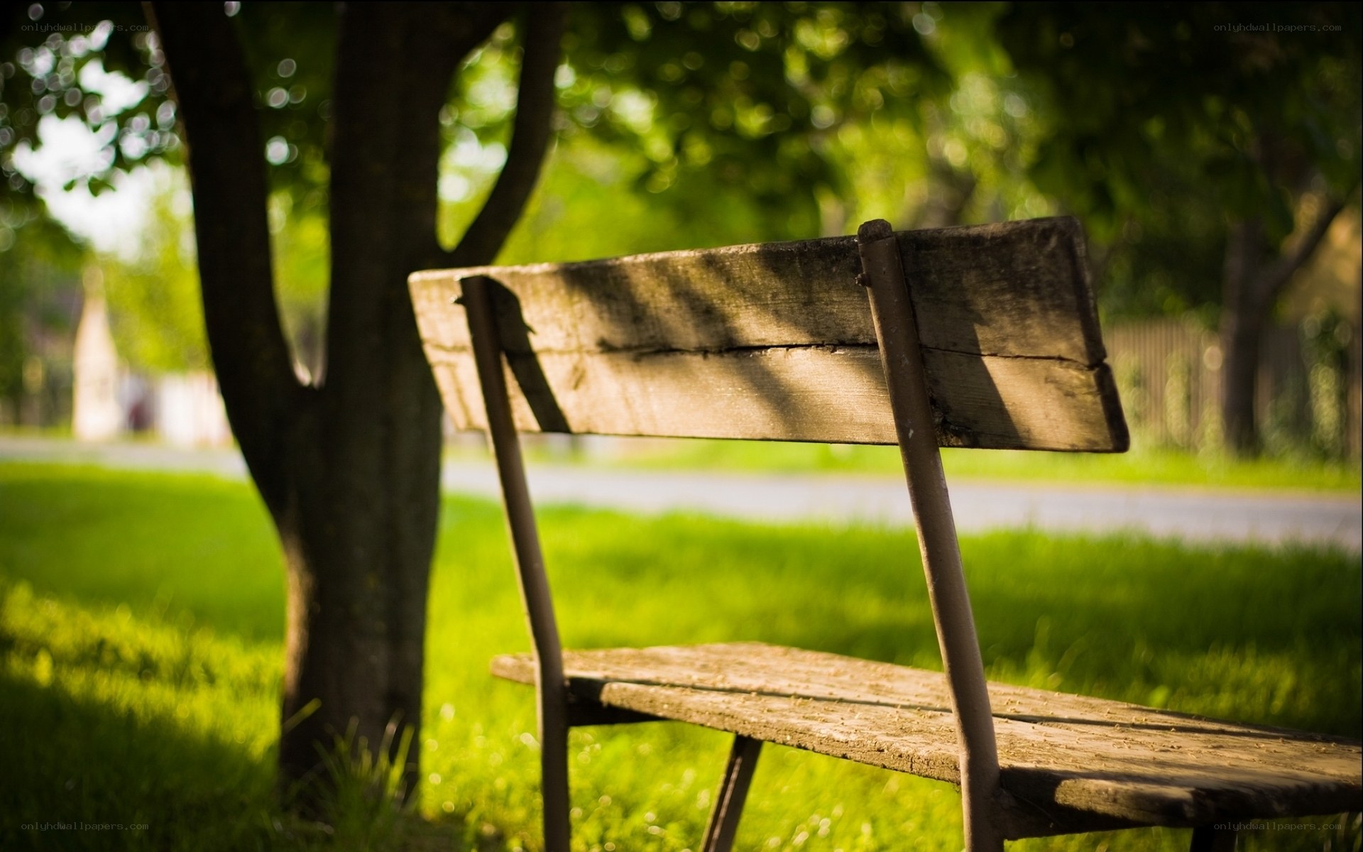 Wooden bench in park