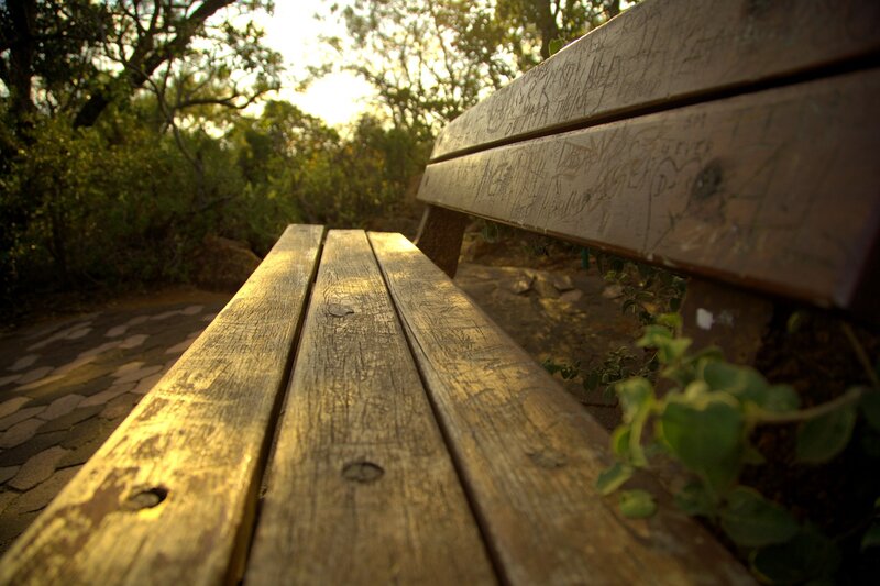 Wooden bench in park at sunset