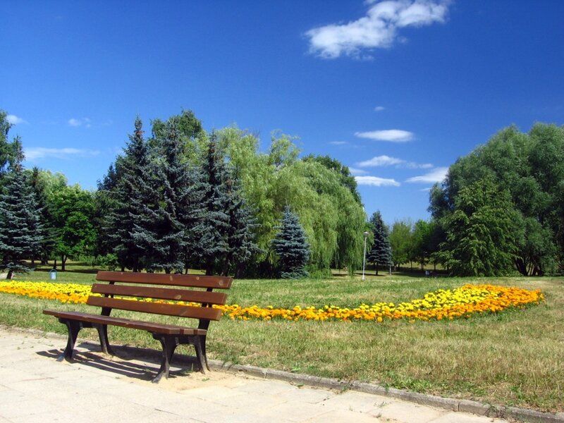 Wooden Bench in Park — Blue, Serene