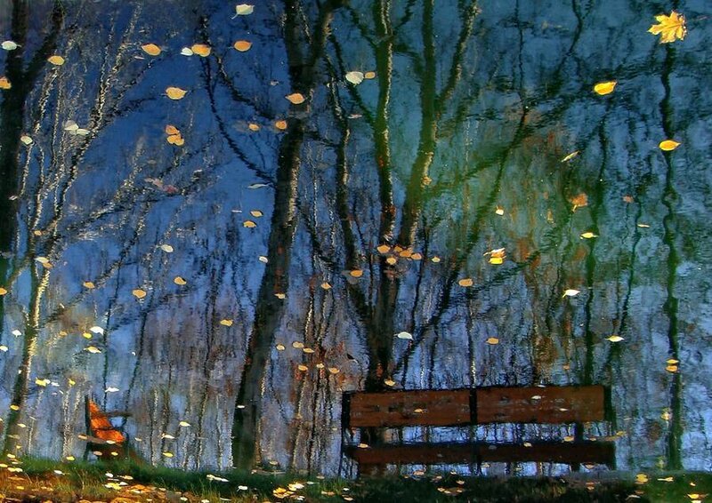 Wooden Bench in Park — Blue