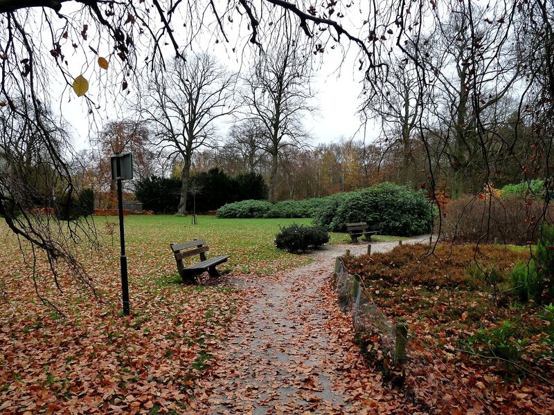 Wooden Bench in Park — Brown, Calm
