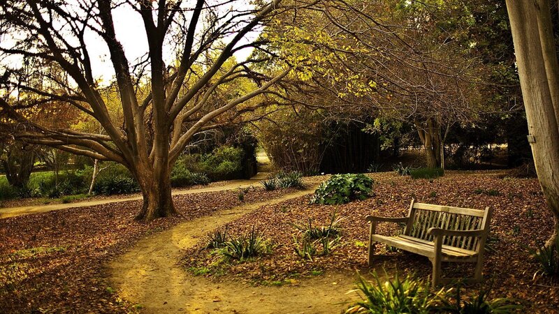 Wooden Bench in Park — Brown, Serene, Autumn, Photograph