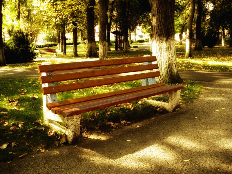 Wooden Bench in Park — Brown, Serene, Autumn, Photograph, Trees, Path