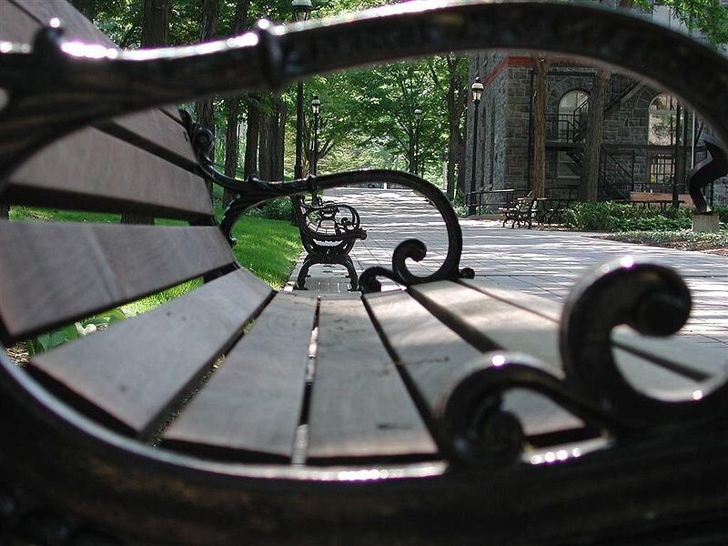 Wooden Bench in Park — Brown, Serene