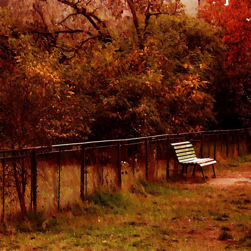 Wooden Bench in Park — Brown