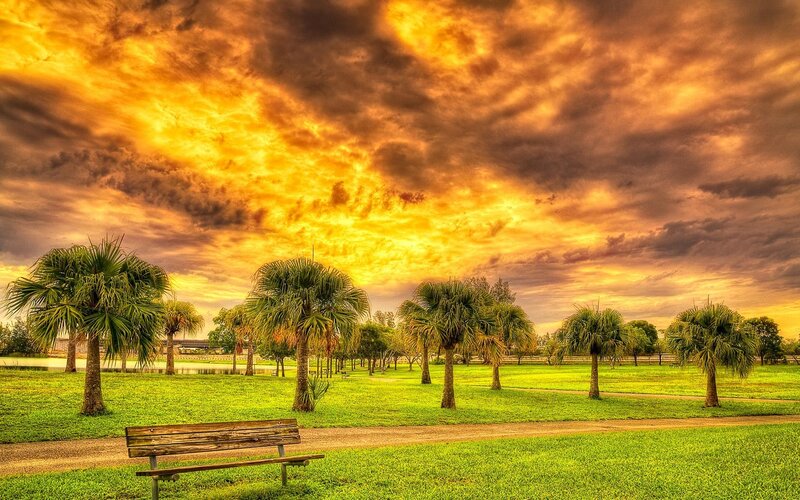 Wooden Bench in Park — Green, Dramatic