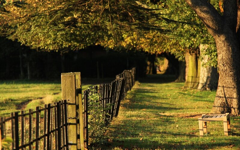 Wooden Bench in Park — Green, Serene, Afternoon, Photograph, Fence, Trees, Brown