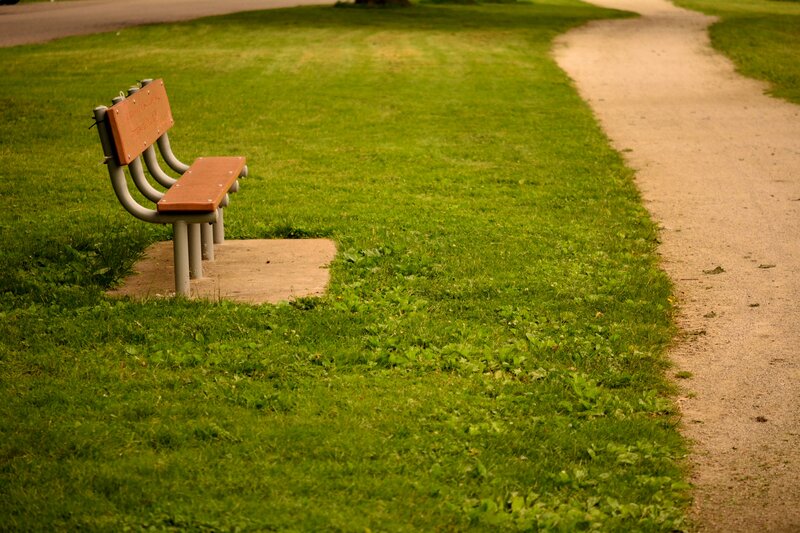 Wooden Bench in Park — Green, Serene, Afternoon, Photograph, Grass, Path