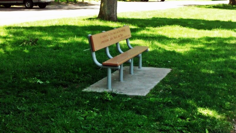 Wooden Bench in Park — Green, Serene, Afternoon, Photograph, Grass, Tree