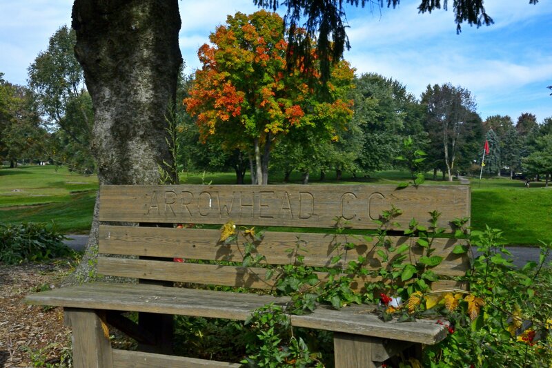 Wooden Bench in Park — Green, Serene, Autumn, Photograph, Tree, Grass, Autumn Leaves