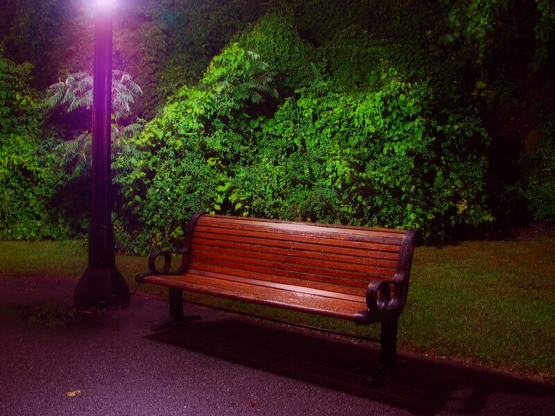 Wooden Bench in Park — Green, Serene, Night