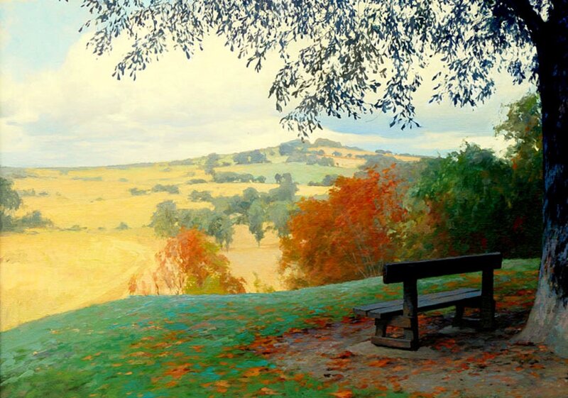 Wooden Bench in Park — Green, Serene