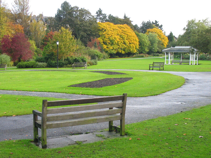 Wooden Bench in Park — Green