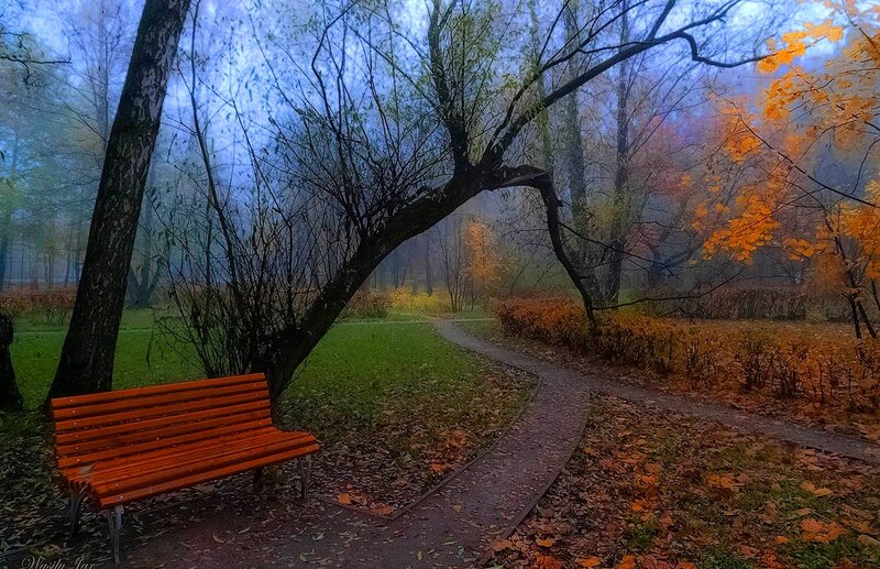 Wooden Bench in Park — Orange, Serene, Autumn, Photograph, Path, Trees