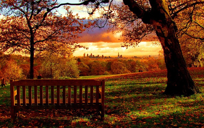 Wooden Bench in Park — Orange, Serene, Sunset
