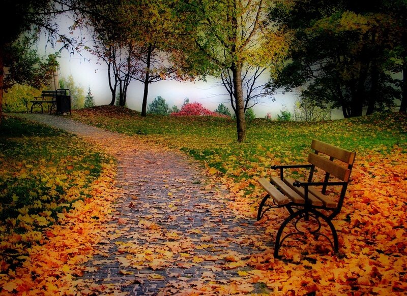 Wooden Bench in Park — Orange