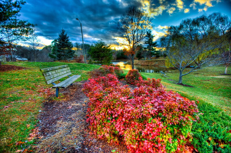 Wooden Bench in Park — Red, Dramatic