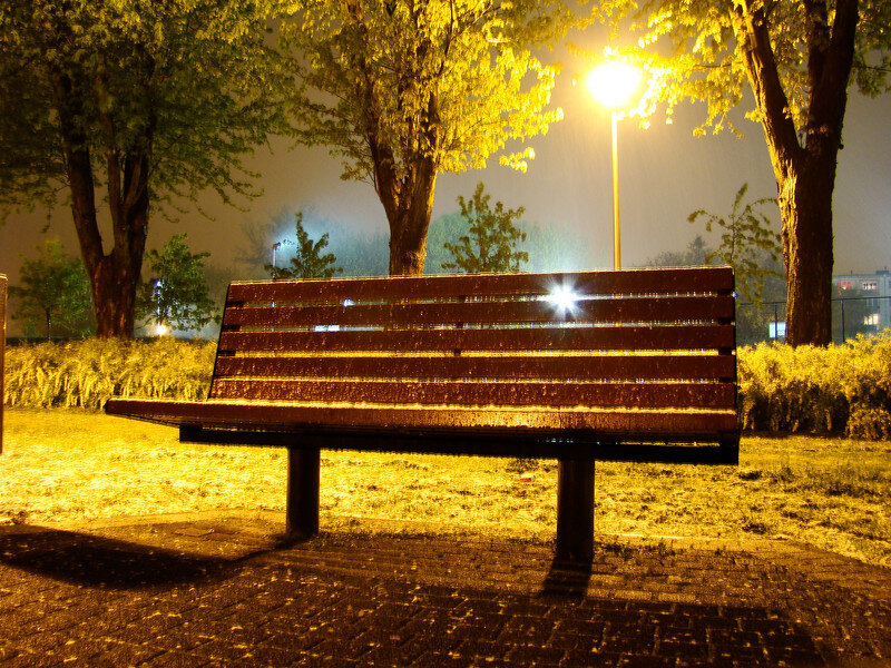 Wooden Bench in Park — Yellow, Calm