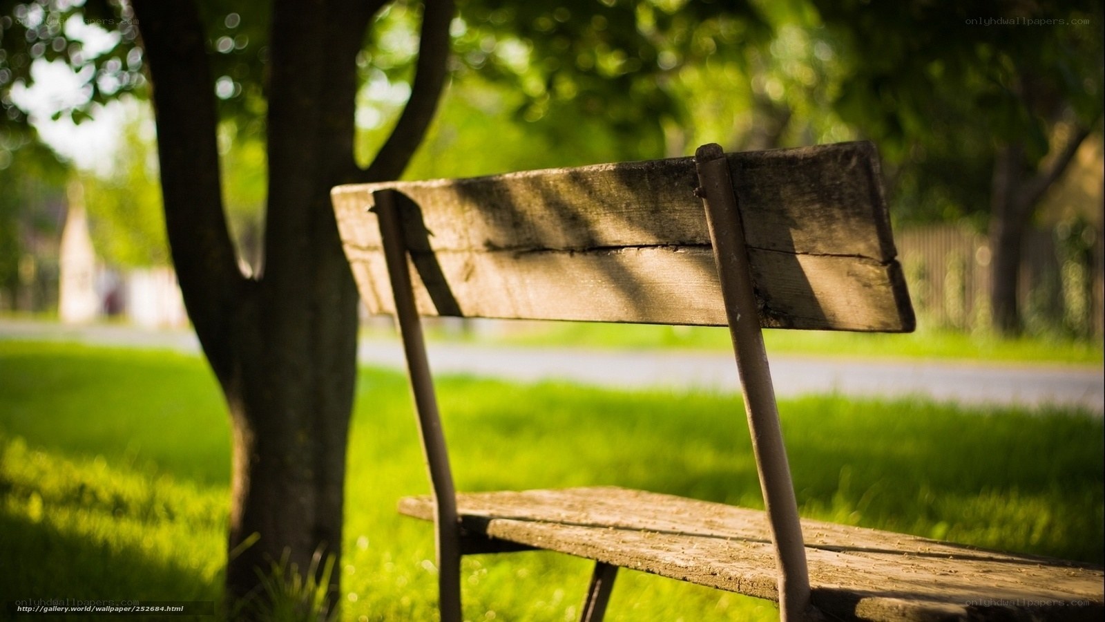 Wooden bench in park