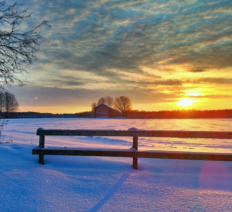 Wooden Bench in Snow — Blue, Serene