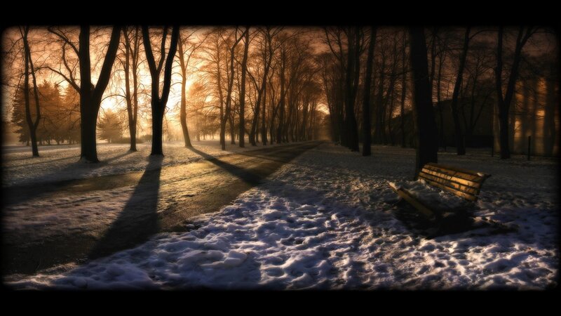 Wooden Bench in Snow — Brown, Serene