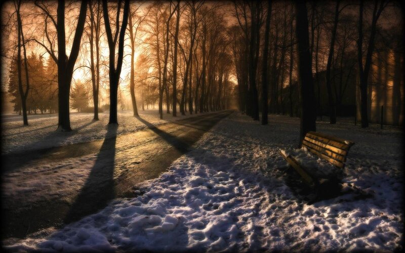 Wooden Bench in Snow — Brown, Serene, Winter