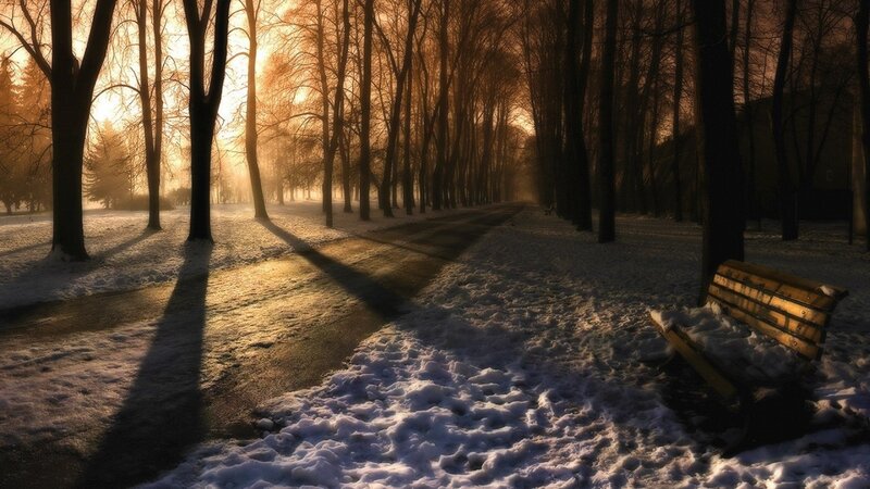Wooden Bench in Snow — Brown