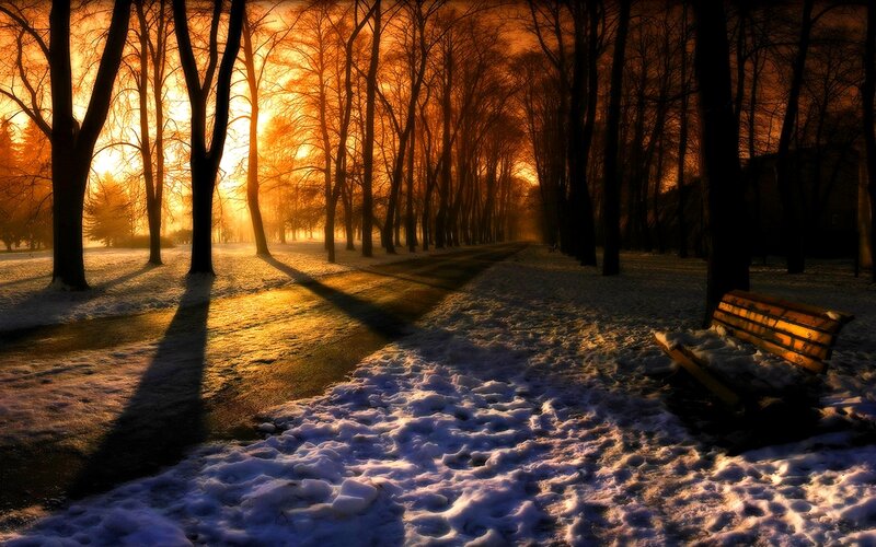 Wooden Bench in Snow — Orange