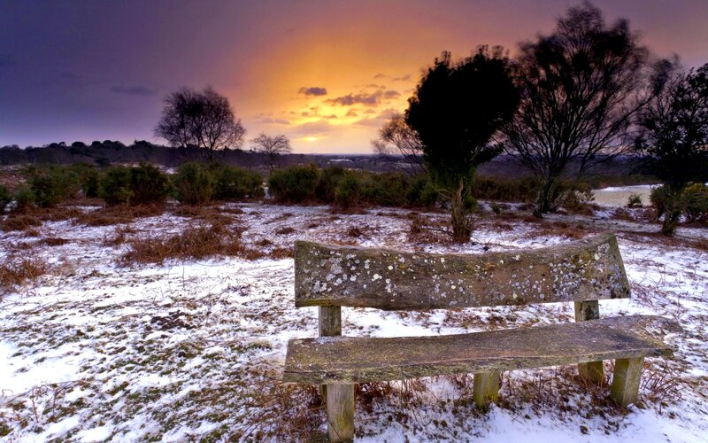 Wooden Bench in Snow — Purple