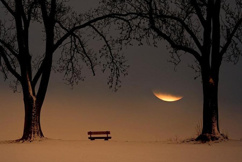 Wooden Bench in Snow
