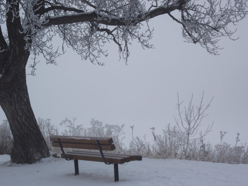 Wooden Bench in Snow — White, Cold