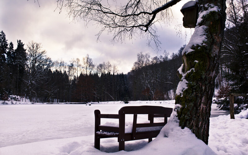 Wooden Bench in Snow — White, Serene