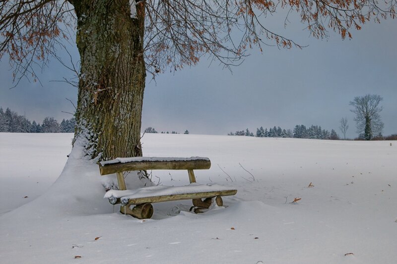 Wooden Bench in Snow — White, Serene, Winter, Photograph