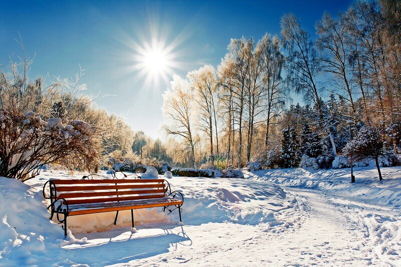 Wooden Bench in Snow — White, Serene, Winter, Photograph, Trees, Sun