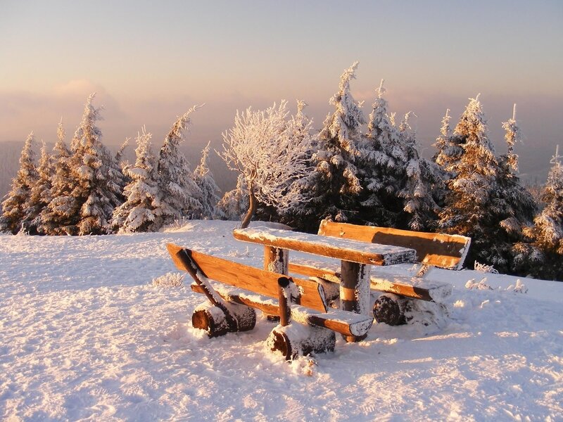 Wooden Bench in Snow — White