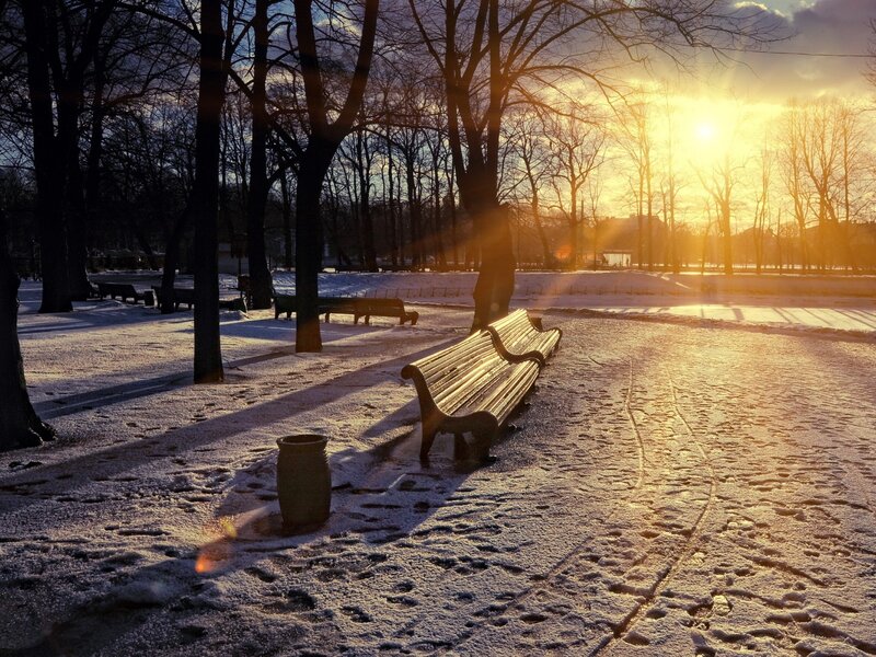 Wooden Bench in Snow — Yellow