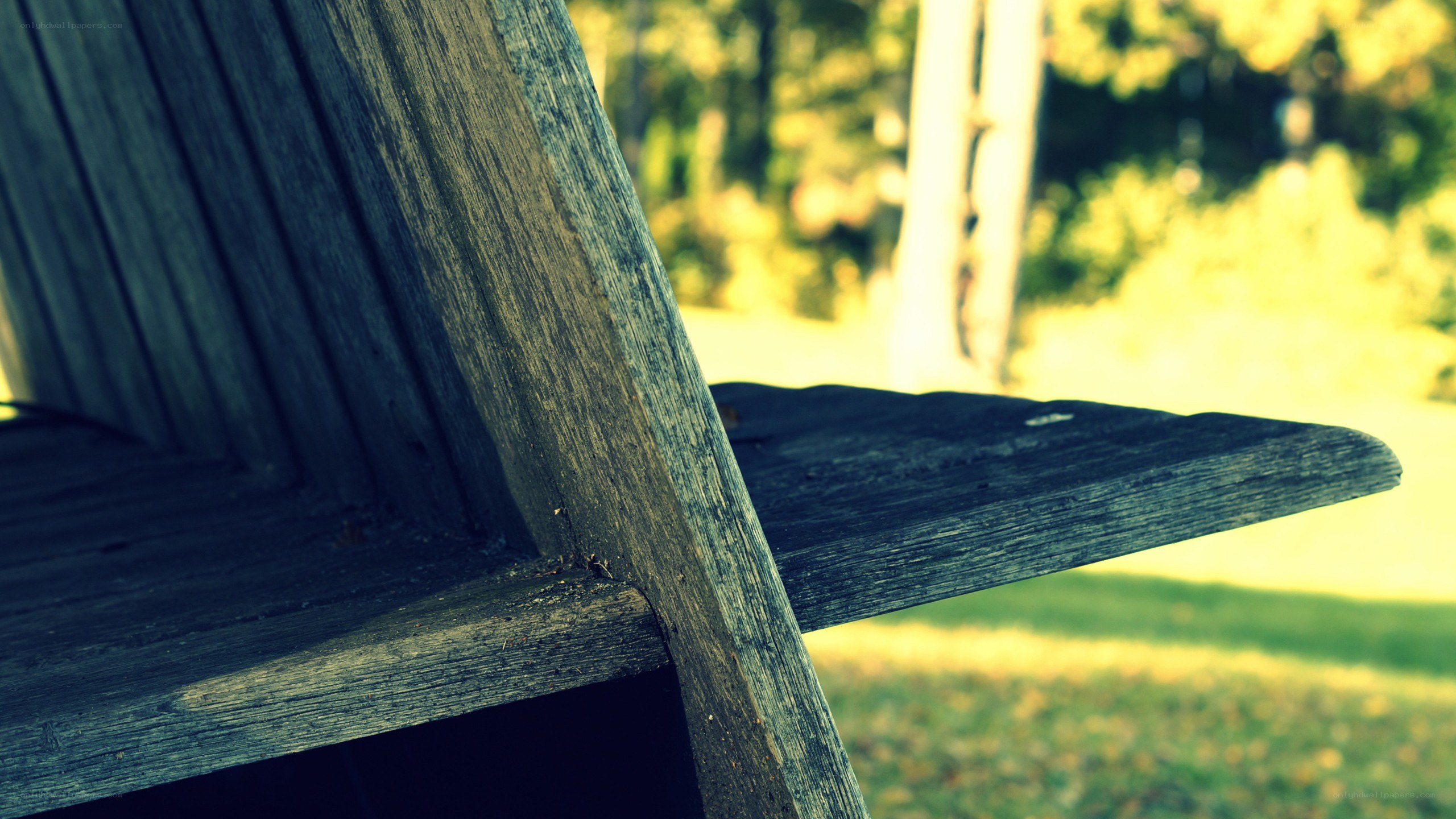 wooden bench in sunlight