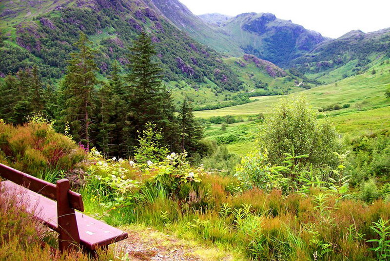 Wooden Bench in Valley — Green