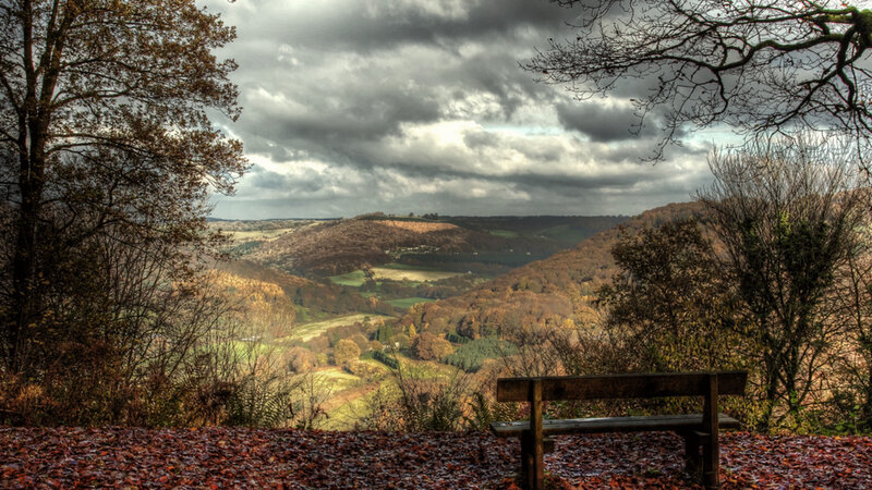 Wooden Bench in Valley