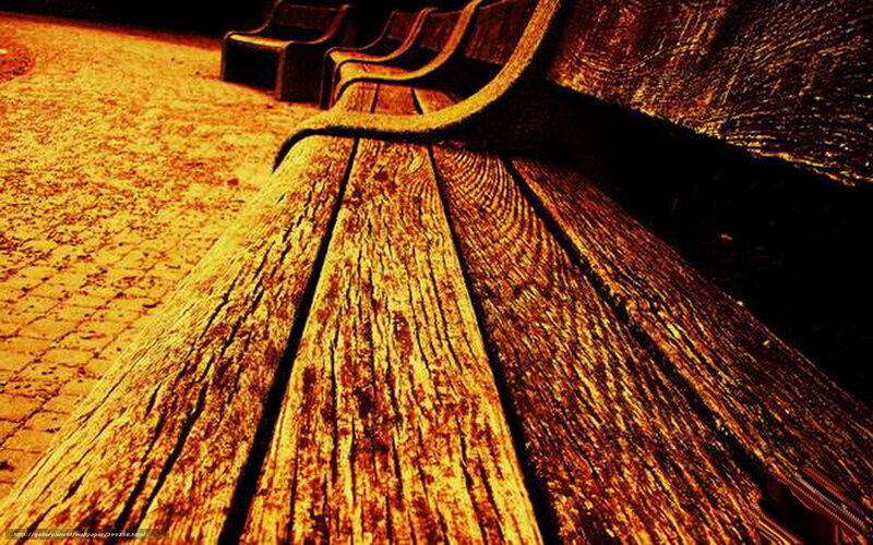 Wooden bench in warm light