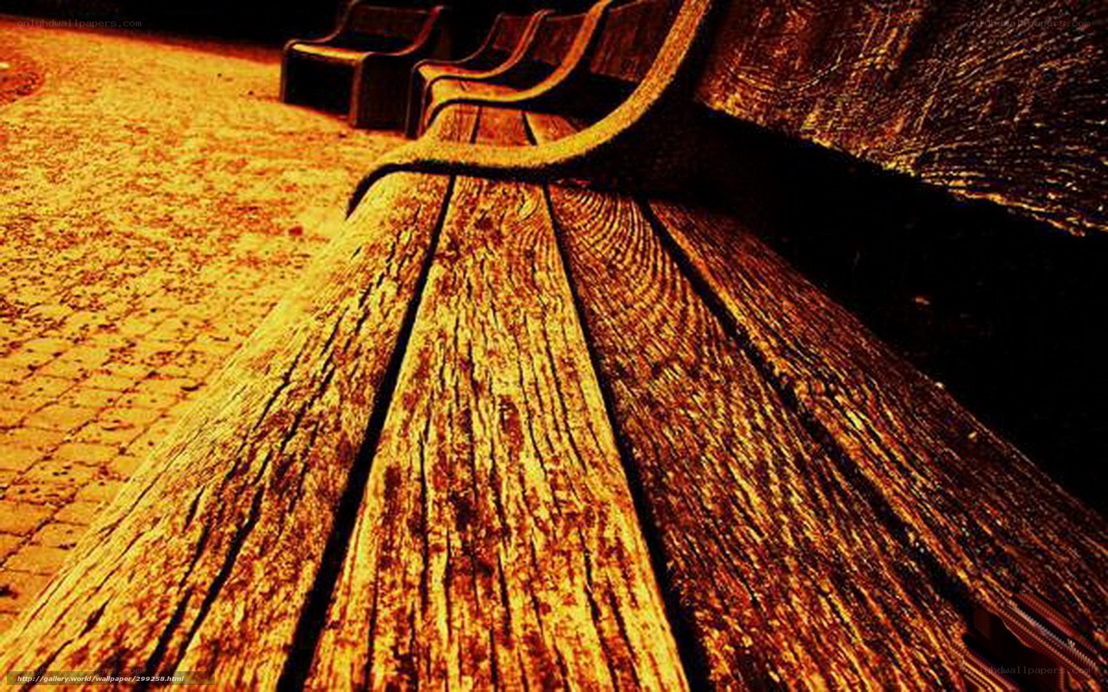 Wooden bench in warm light