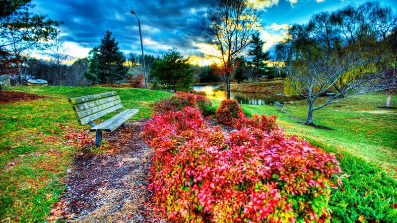 Wooden Bench Near Pond — Red