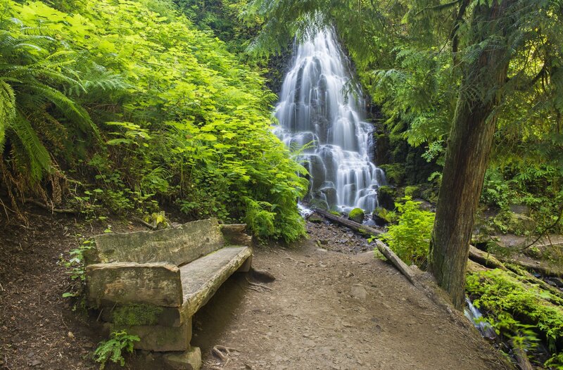 Wooden Bench Near Waterfall — Green