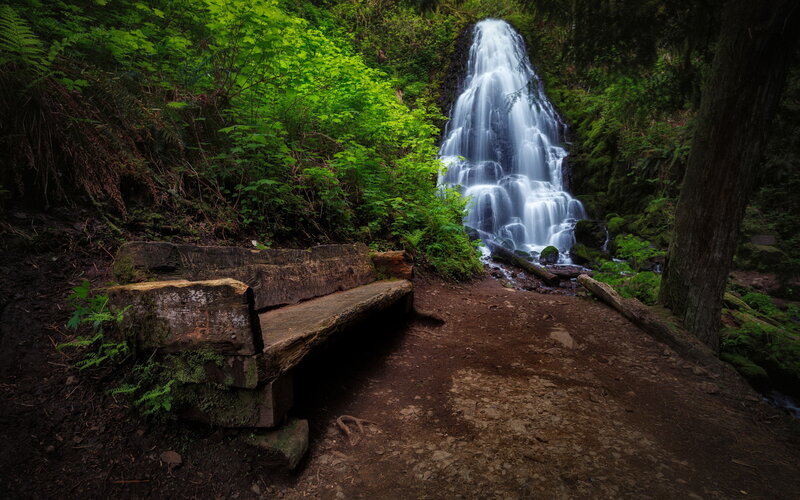 Wooden Bench Near Waterfall