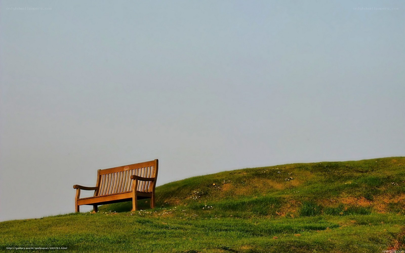 Wooden bench on a grassy hill