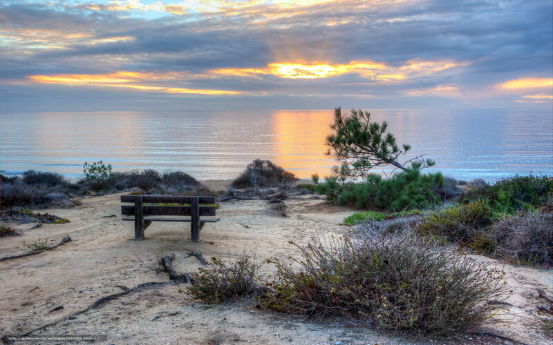 Wooden Bench on Cliff — Blue
