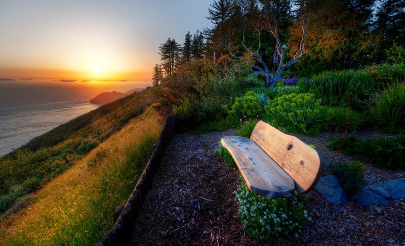 Wooden Bench on Cliff — Green, Serene, Sunset, Photograph, Ocean, Trees