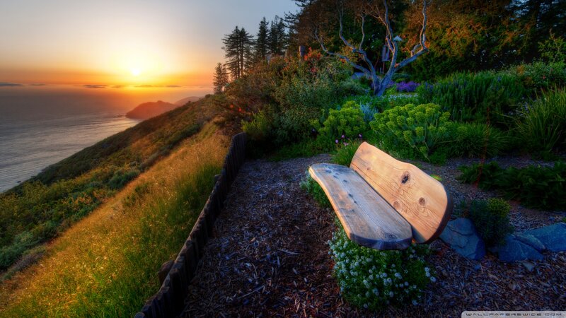 Wooden Bench on Cliff — Green